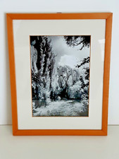 Quadro Fotografia Foto Bianco Nero Infrarosso Paesaggio Agreste Natura 33x26 cm