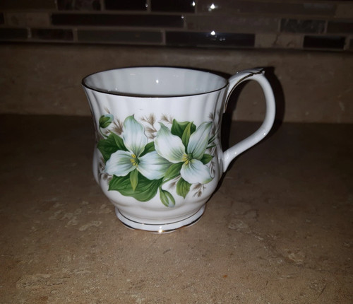 Vtg royal albert - trillium, bone