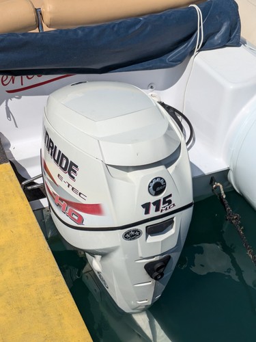 Motore evinrude 115 - evinrude, tec
