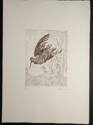 Italo cremona cozzo - italo,