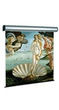 Telo Videoproiettore