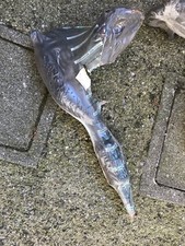 Marmitta Completa Nuova Cagiva