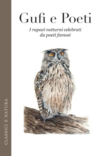 Gufi poeti i rapaci - poeti:,