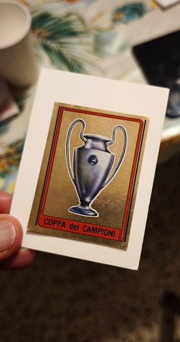 Coppa dei campioni calciatori - campioni,
