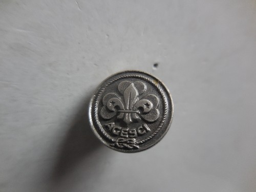 Distintivo agesci boy scout - distintivo,