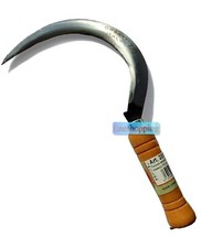 Falce falciola dentata