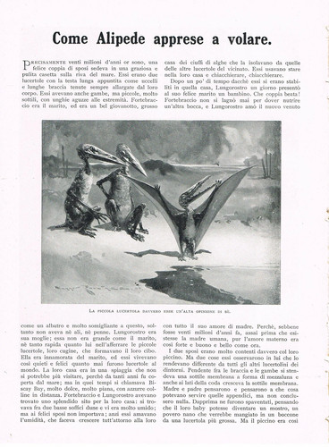 Come alipede apprese - come, volare