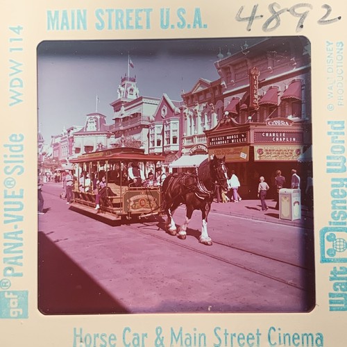 Vintage walt disney world - walt, main