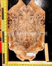 Set superiore chitarra 5A noce