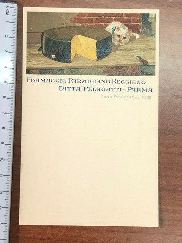 1905 formaggio parmigiano - 1905,