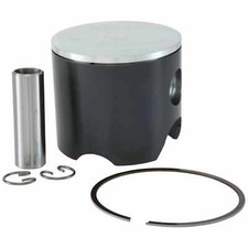 SIP 78245610 PISTONE BFA 306CC