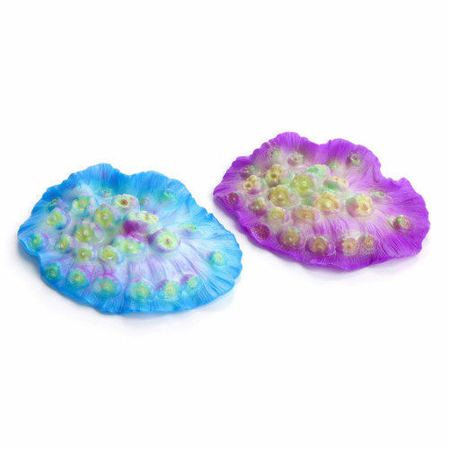 Nobleza corallo fluorescente - nobleza,
