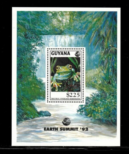 Guyana 1993 earth - guyana,