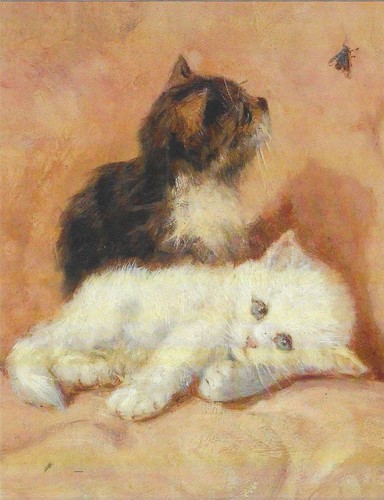Nuova cartolina gatti gattini - nuova,