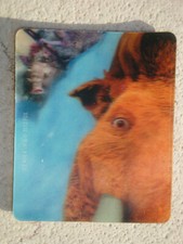 Era glaciale 4 Continenti alla deriva Magnete e Card 3D