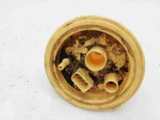 Pompa serbatoio carburante BMW