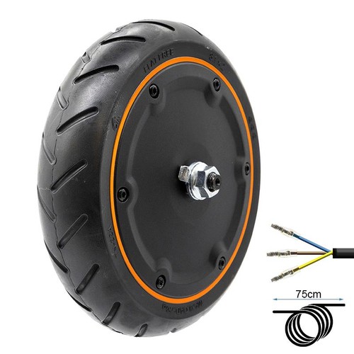Motore 250 w - 21,6, xiaomi