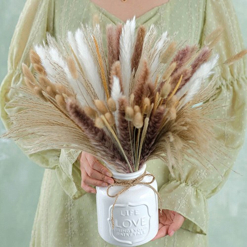 Nuovo 84pz pampas erba - pampas,