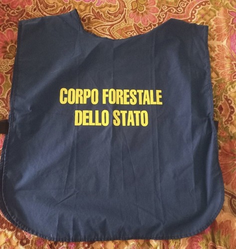 Fratino corpo forestale - fratino,
