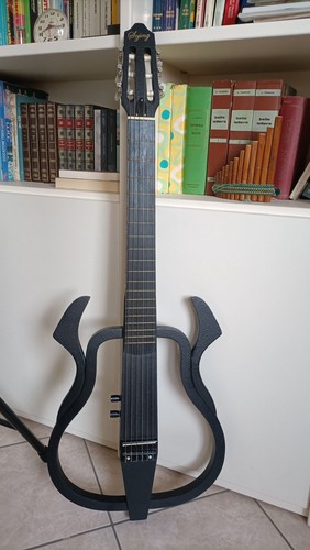 Vendo rara chitarra sojing - vendo,