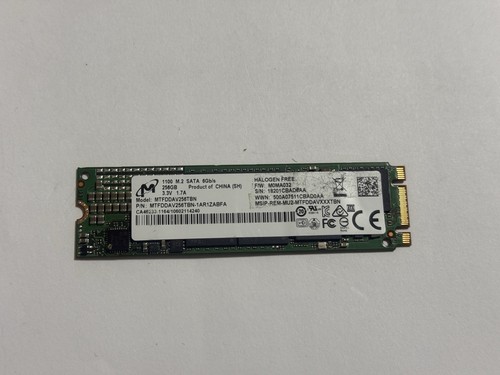 Garanzia 256gb 1100 - 1100, m.2