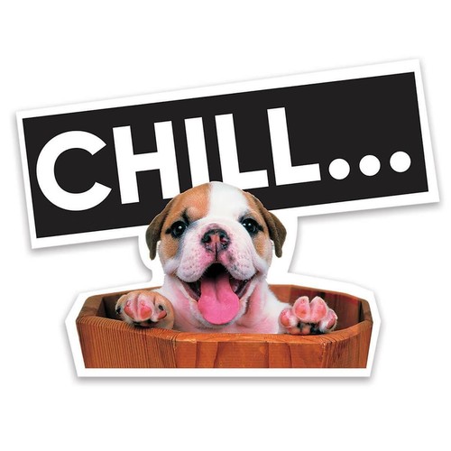 Adesivo regalo bulldog chill - bulldog,