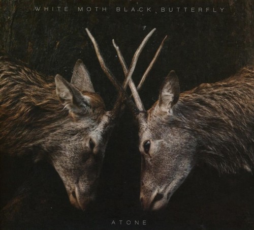 Atone white moth black - -,