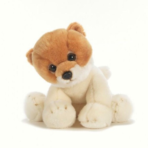 Cane pomerania cm30 spitzy - cane,