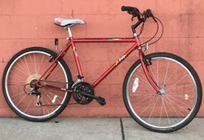 Fuji Thrill Mtn CIty Bicycle