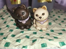 Gattino (gattini) Thun Bauli