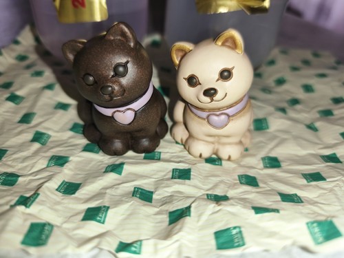 Gattino thun bauli - gattino,