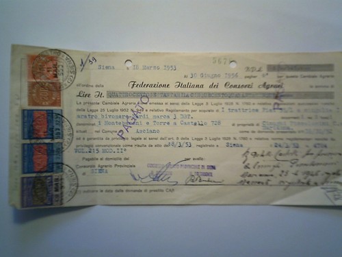 Cambiale federazione italiana - cambiale,