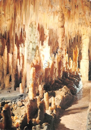 Cartolina bari grotte - bari,