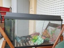 acquario completo perfettamente funzionante 