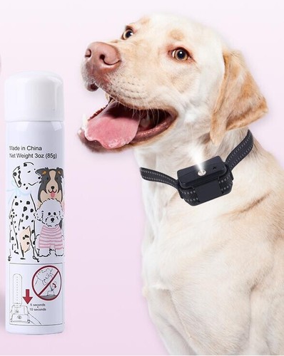 Collare per cani con spray - collare,