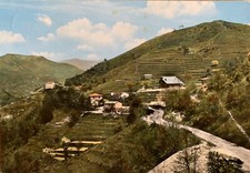 Cartolina Colle Caprile Uscio Genova Ville Biole Viaggiata