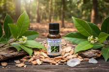 Olio essenziale puro di