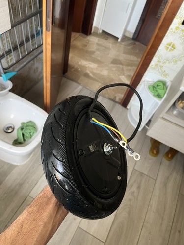 Ruota motore ninebot f25e v - ruota,
