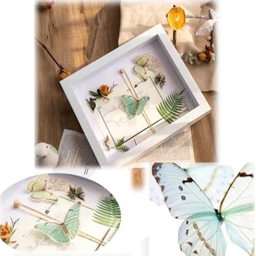 Crafts display frame - display,