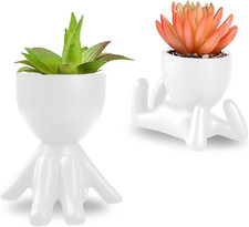 Confezione Da 2 Piccole Piante