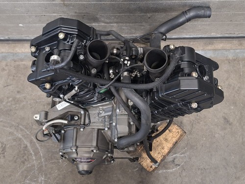 Blocco motore buell - motore,