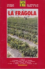 ?  TERRA E VITA - LA FRAGOLA - TECNICA IN CAMPO