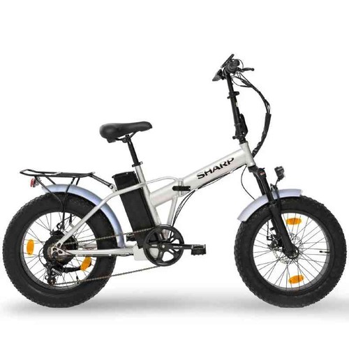 Bici elettrica con pedalata - elettrica,