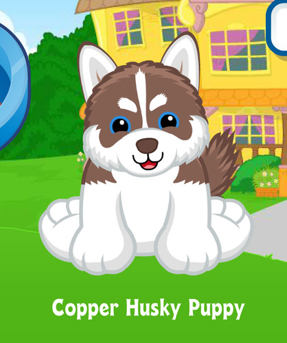 Webkinz classic copper husky - webkinz,