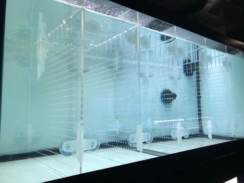 Kit divisori acquario - , ra