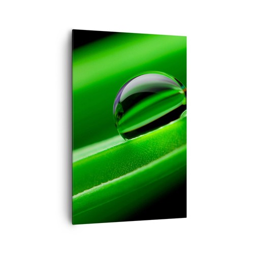 Quadro tela 80x120cm pianta - quadro,