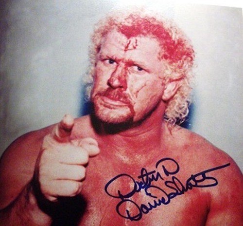 Wrestling superstars david - wrestling,