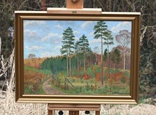 Sentiero nel bosco con pini -