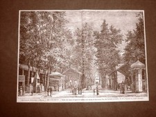 Esposizione Nazionale di Milano nel 1881 Lignite di Spoleto e Marmo Serravezza