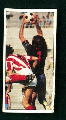 Figurina calciatori panini - calciatori,